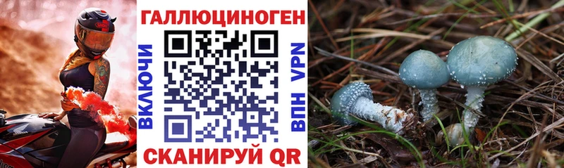 Псилоцибиновые грибы прущие грибы  Североуральск 